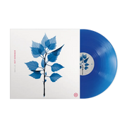 the album cover for Matt Berninger - Get Sunk [Indie Exclusive Translucent Blue vinyl ]