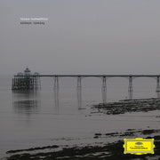 the album cover for Hildur Guonadottir - Without Sinking