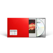 the album cover for Nine Inch Nails - Nine Inch Noize