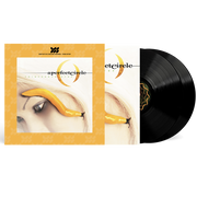 the album cover for A Perfect Circle - Thirteenth Step [Definitive Sound Series 180g]