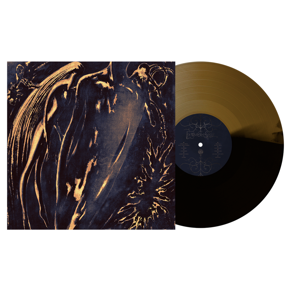 the album cover for Commoner - Former Self [Black Ice / Gold]