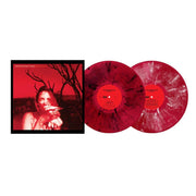 the album cover for Widespread Panic - Everyday [Indie Exclusive Color]