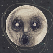 the album cover for Steven Wilson - Raven That Refused To Sing