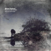 the album cover for Simon Posford - Flux & Contemplation: Portrait Of An Artist In Isolation [2 LP]