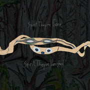 the album cover for Animal Collective - Spirit They're Gone, Spirit They've Vanished: Remastered 2023 [2LP]