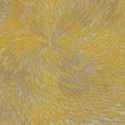 the album cover for Pjev / Kit Downes  / Chisholm,Hayden - Medna Roso