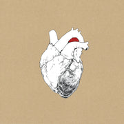 the album cover for Swans - The Beggar