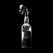 the album cover for Prodigy - Firestarter (Andy C Remix) (Ita)