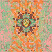 the album cover for Grateful Dead - RFK Stadium, Washington, DC 6/10/73