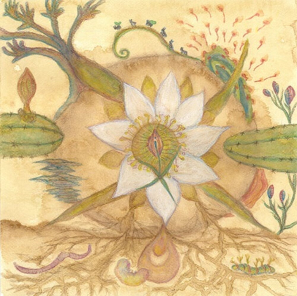 the album cover for Markandeya - Vision Versions: Joaquin Cornejo Meets Markandeya