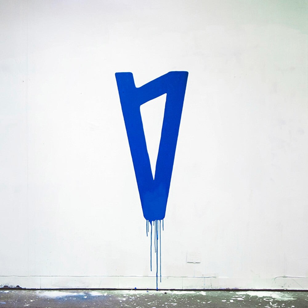 the album cover for Lauv - I Met You When I Was 18 [LP]