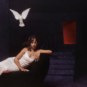 the album cover for PinkPantheress - Heaven Knows [LP]