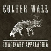 the album cover for Colter Wall - Imaginary Appalachia