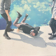 Local Natives : Hummingbird (LP, Album)