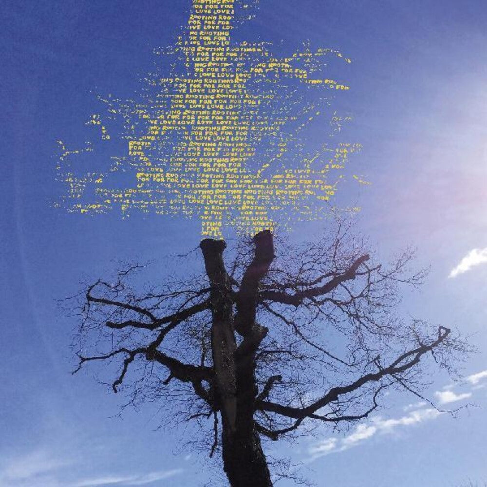 the album cover for Laetitia Sadier - Rooting For Love [LP]