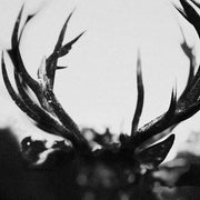 the album cover for Ihsahn - Ihsahn