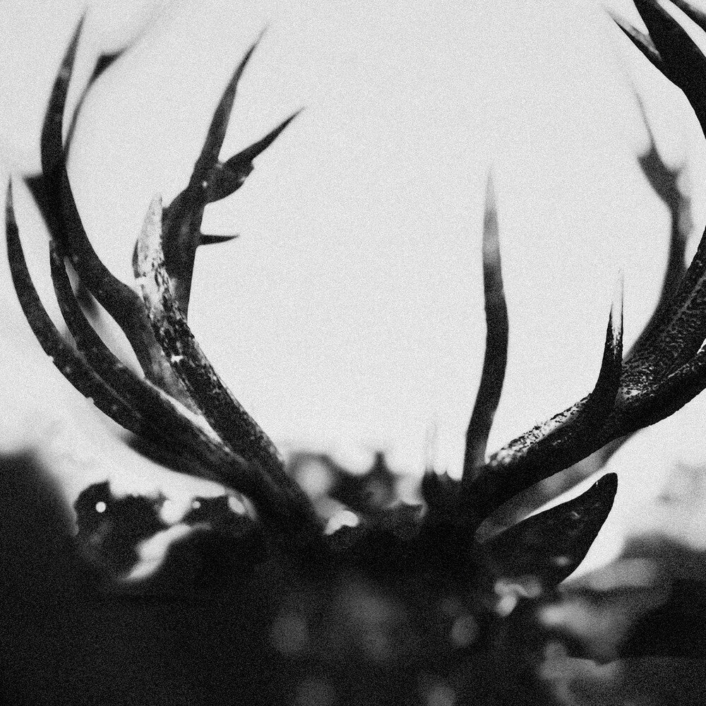 the album cover for Ihsahn - Ihsahn - Black Yolk (Blk) [Colored Vinyl]