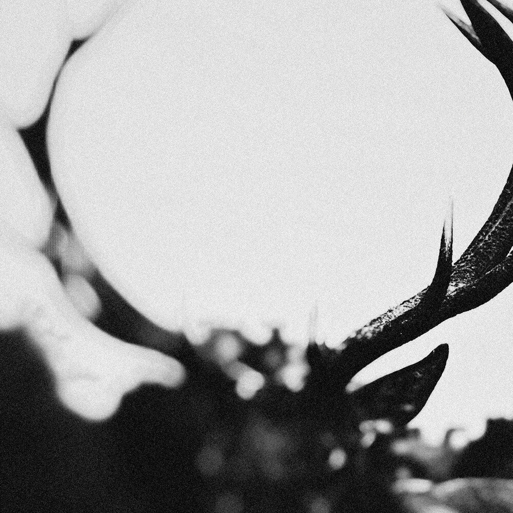 the album cover for Ihsahn - Ihsahn (Orchestral Version)