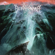 the album cover for Borknagar - Fall