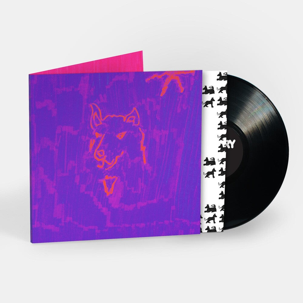 the album cover for Dehd - Poetry [LP]