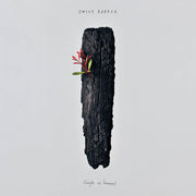 the album cover for Emily Barker - Fragile As Humans