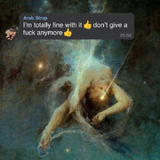 the album cover for Arab Strap - I'm totally fine with it don't give a fuck anymore [LP]