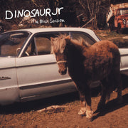 the album cover for Dinosaur Jr. - Black Session: Live In Paris 1993