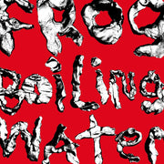 the album cover for DIIV - Frog In Boiling Water [LP]