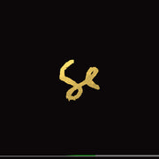 the album cover for Sylvan Esso - Sylvan Esso - 10 Year Anniversary Edition (Aniv)