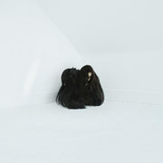 the album cover for Chelsea Wolfe - Hiss Spun [Colored Vinyl] [Clear Vinyl] (Gate) (Red) [Indie Exclusive] [Download Included]