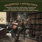 the album cover for Norman Blake - Pilgramage to Rising Fawn [LP]