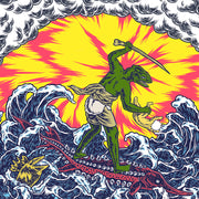the album cover for King Gizzard & The Lizard Wizard - Teenage Gizzard
