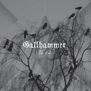 the album cover for Gallhammer - End