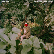the album cover for Pale Jay - Low End Love Songs - Storm Cloud Grey [Colored Vinyl] (Gry)