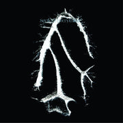 the album cover for Seefeel - Everything Squared