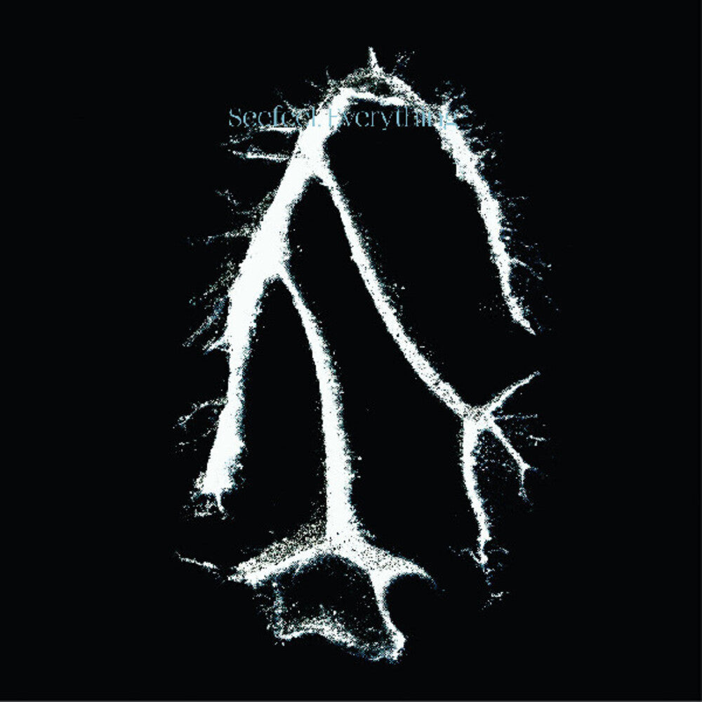 the album cover for Seefeel - Everything Squared