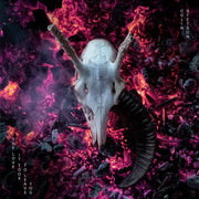 the album cover for Colin Stetson - Love It Took To Leave You (Blk) (Gate)