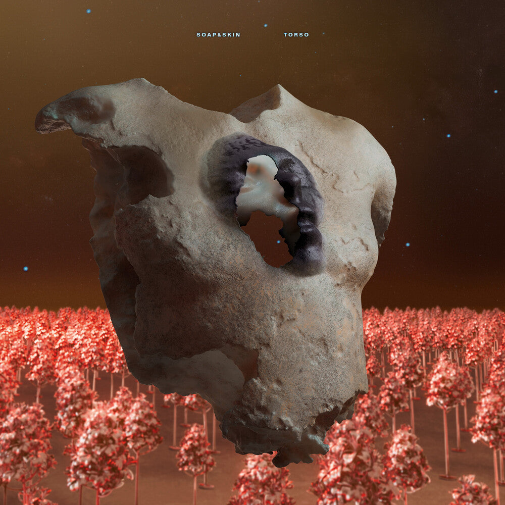 the album cover for Soap&Skin - Torso