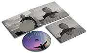 the album cover for Gray, David - Dear Life