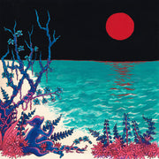 the album cover for glass beach - the first glass beach album [Import Clear LP]