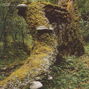the album cover for Jan Jelinek - Kosmischer Pitch
