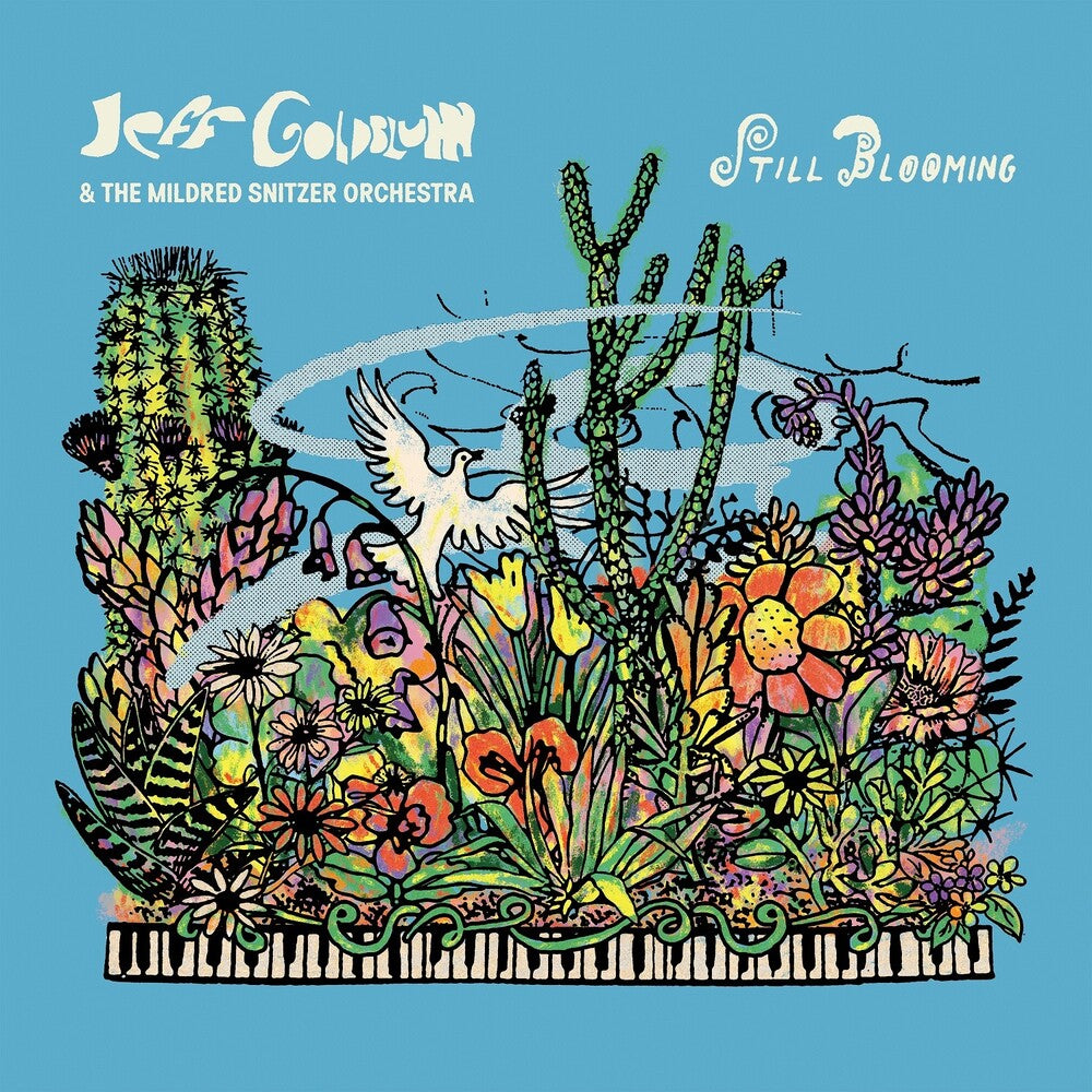 the album cover for Jeff Goldblum  & Mildred Snitzer Orchestra - Still Blooming
