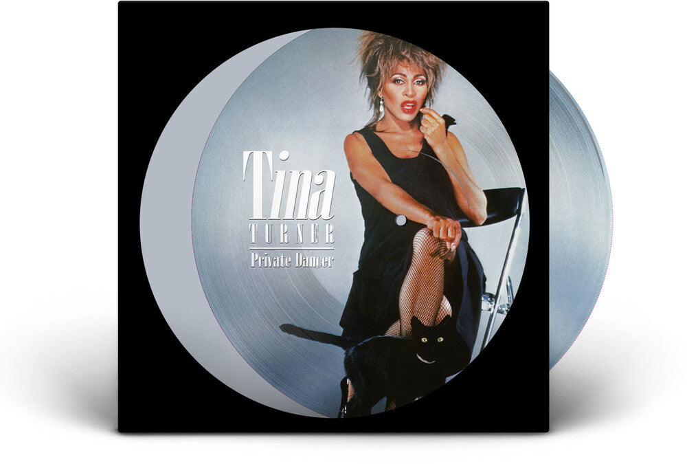 the album cover for Tina Turner - Private Dancer (Pict)