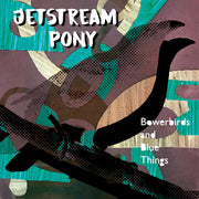 the album cover for Jetstream Pony - Bowerbirds And Blue Things