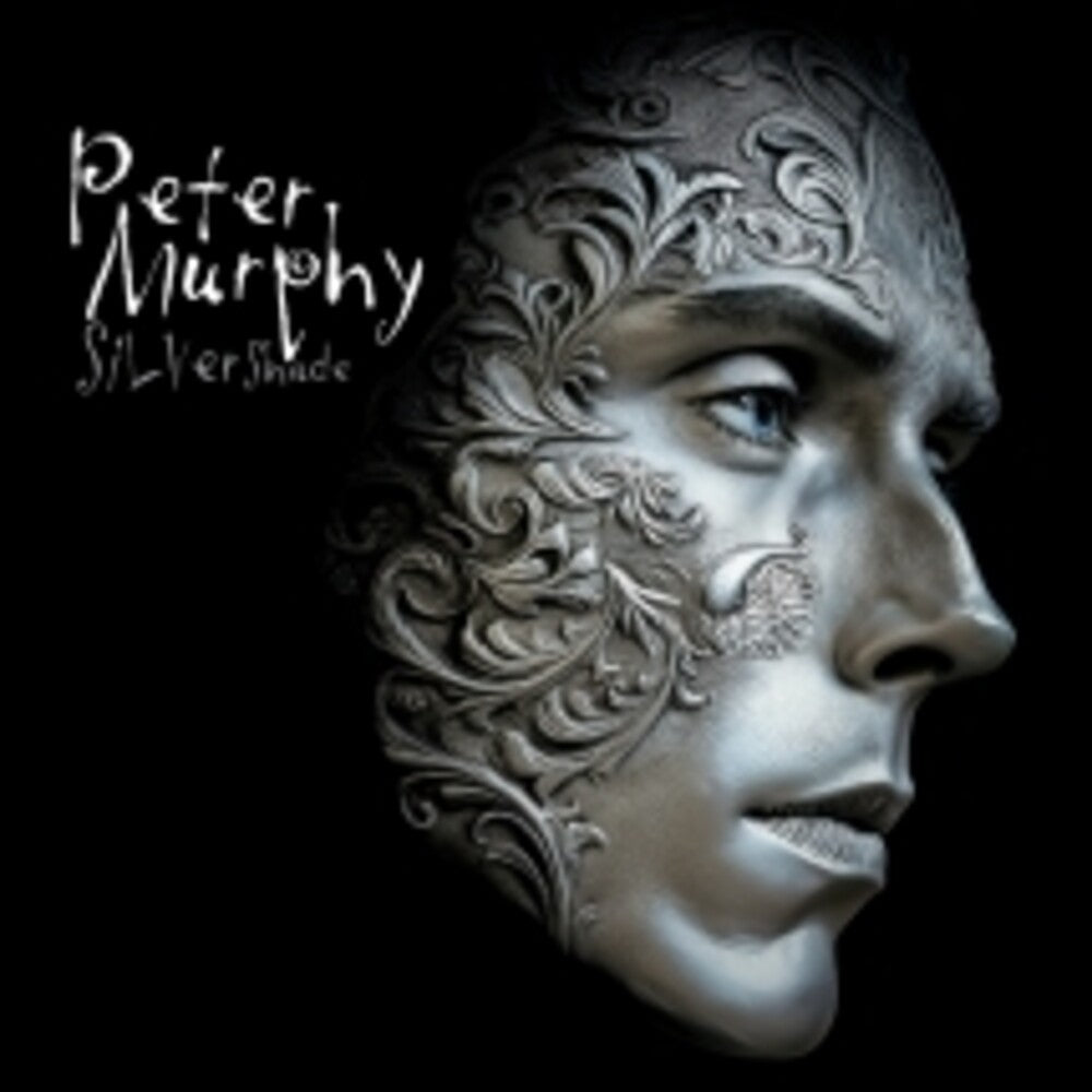 the album cover for Unknown Artist - Silver Shade