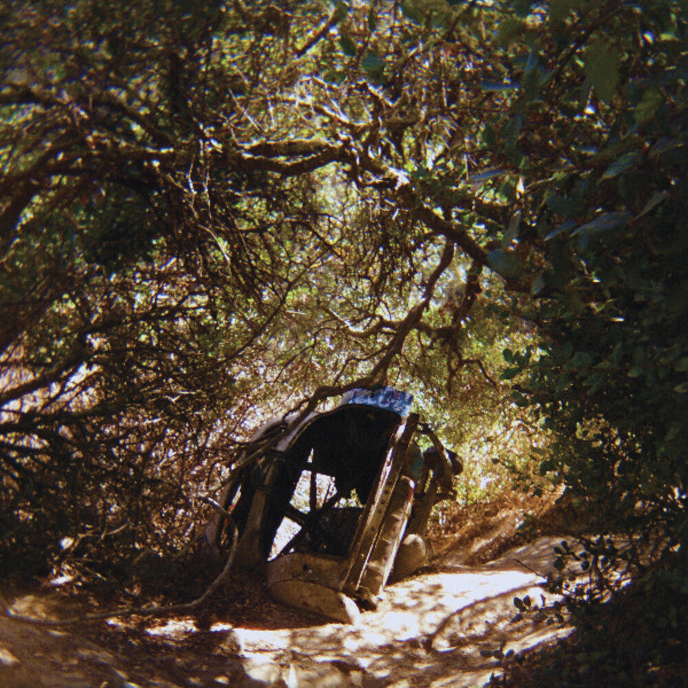 the album cover for Ty Segall - Possession