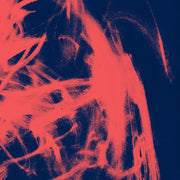 the album cover for Rival Consoles - Landscape From Memory [Clear Vinyl] [Indie Exclusive] [Download Included]