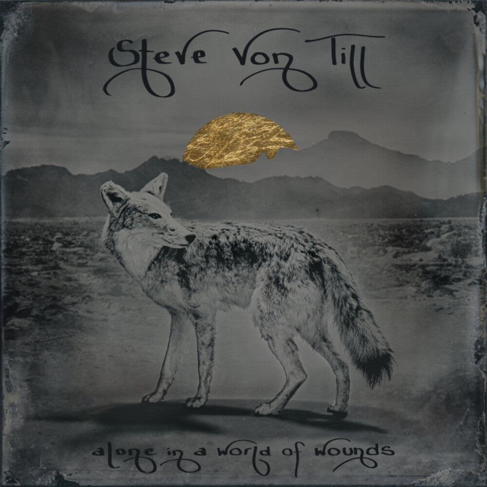 the album cover for Von Till, Steve - Alone In A World Of Wounds
