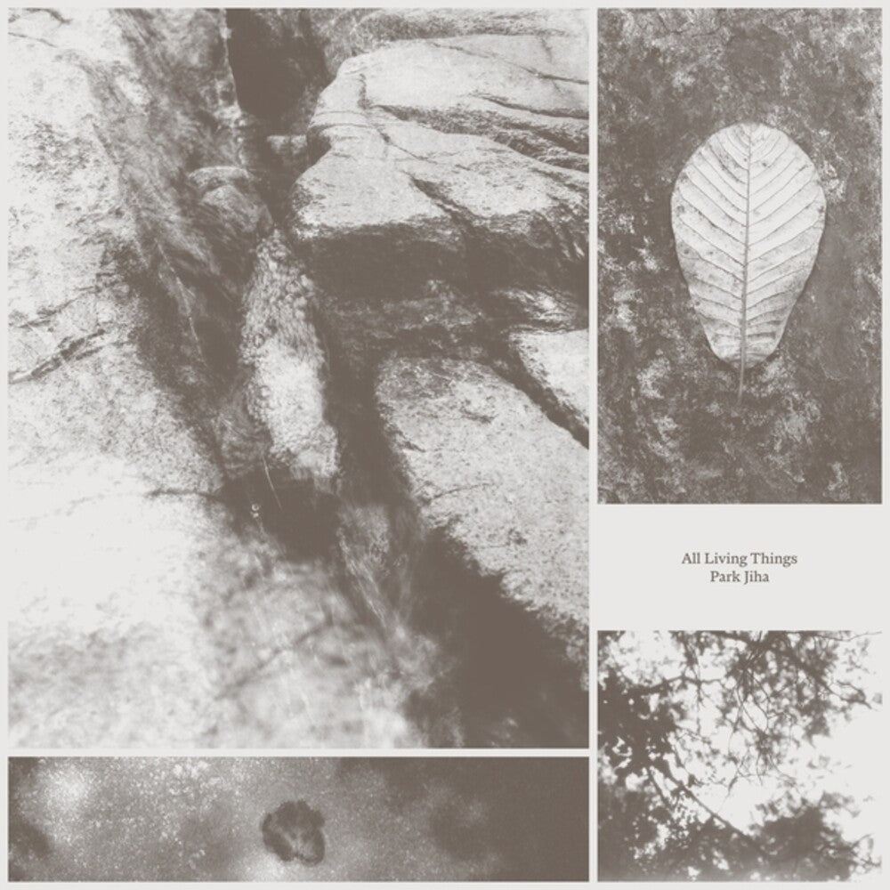 the album cover for Jiha, Park - All Living Things
