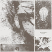 the album cover for Jiha, Park - All Living Things